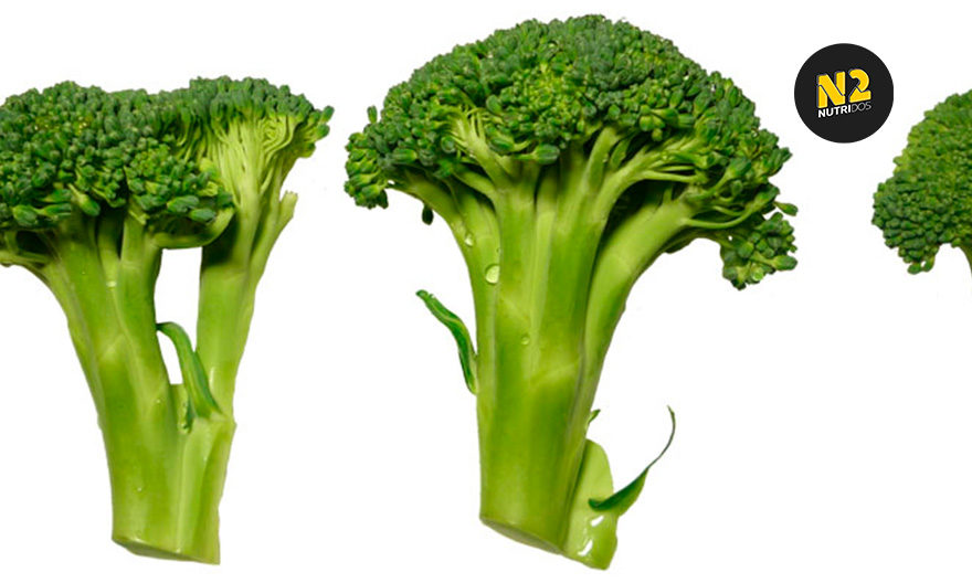 beneficios brocoli, alimentacion sana